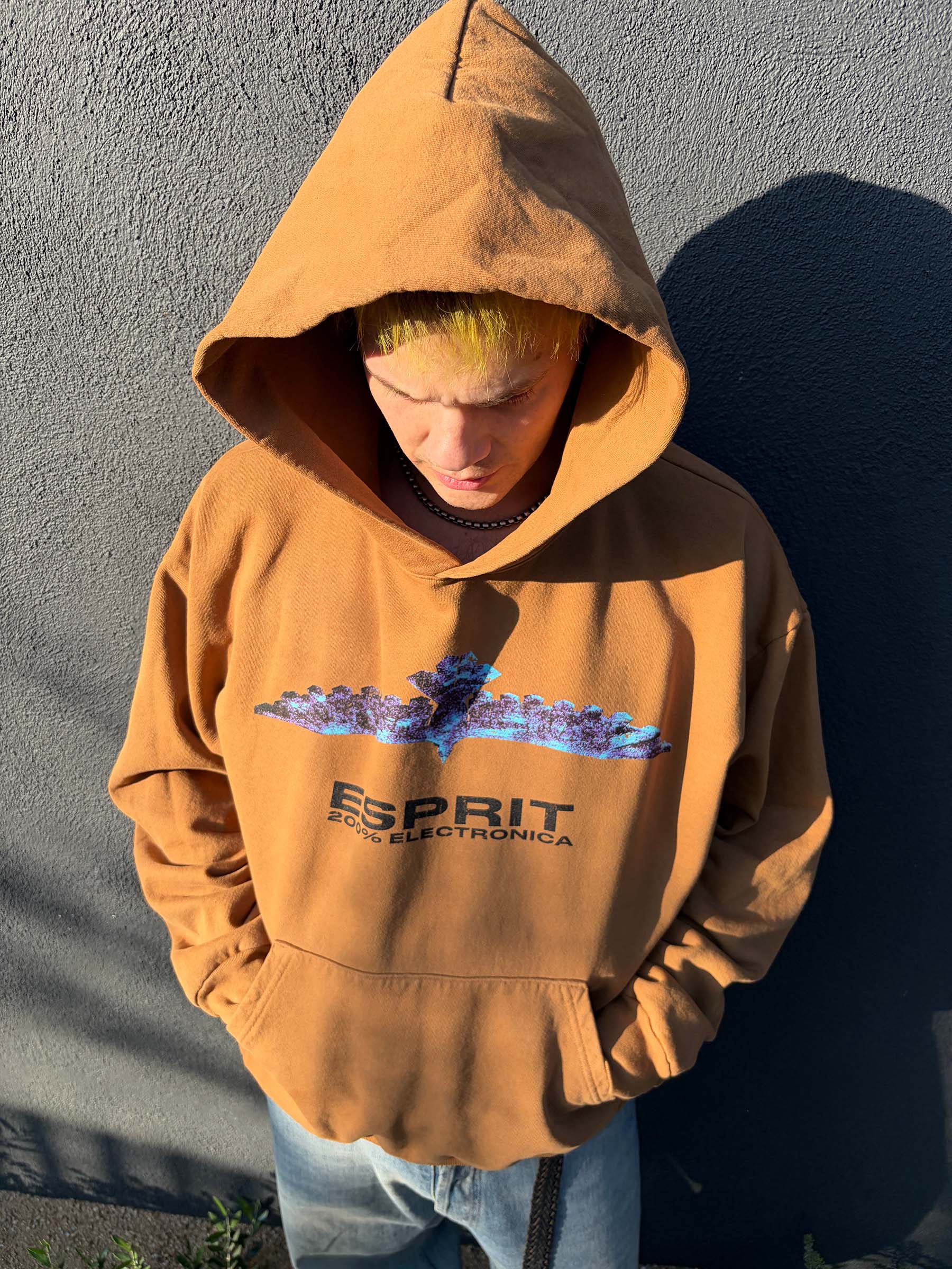 200% Electronica "Bird" Hoodie