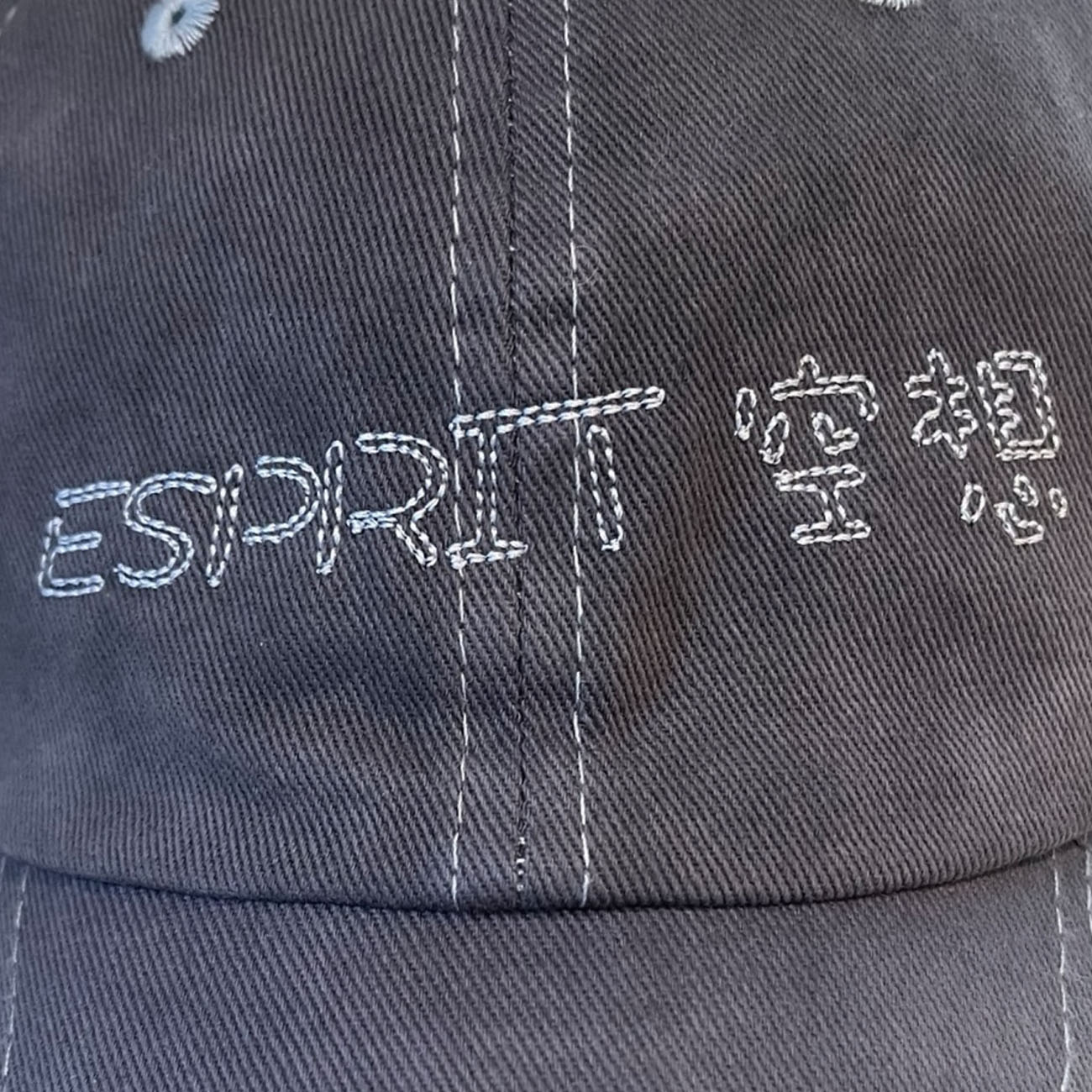 ESPRIT 空想 Cap (Grey)