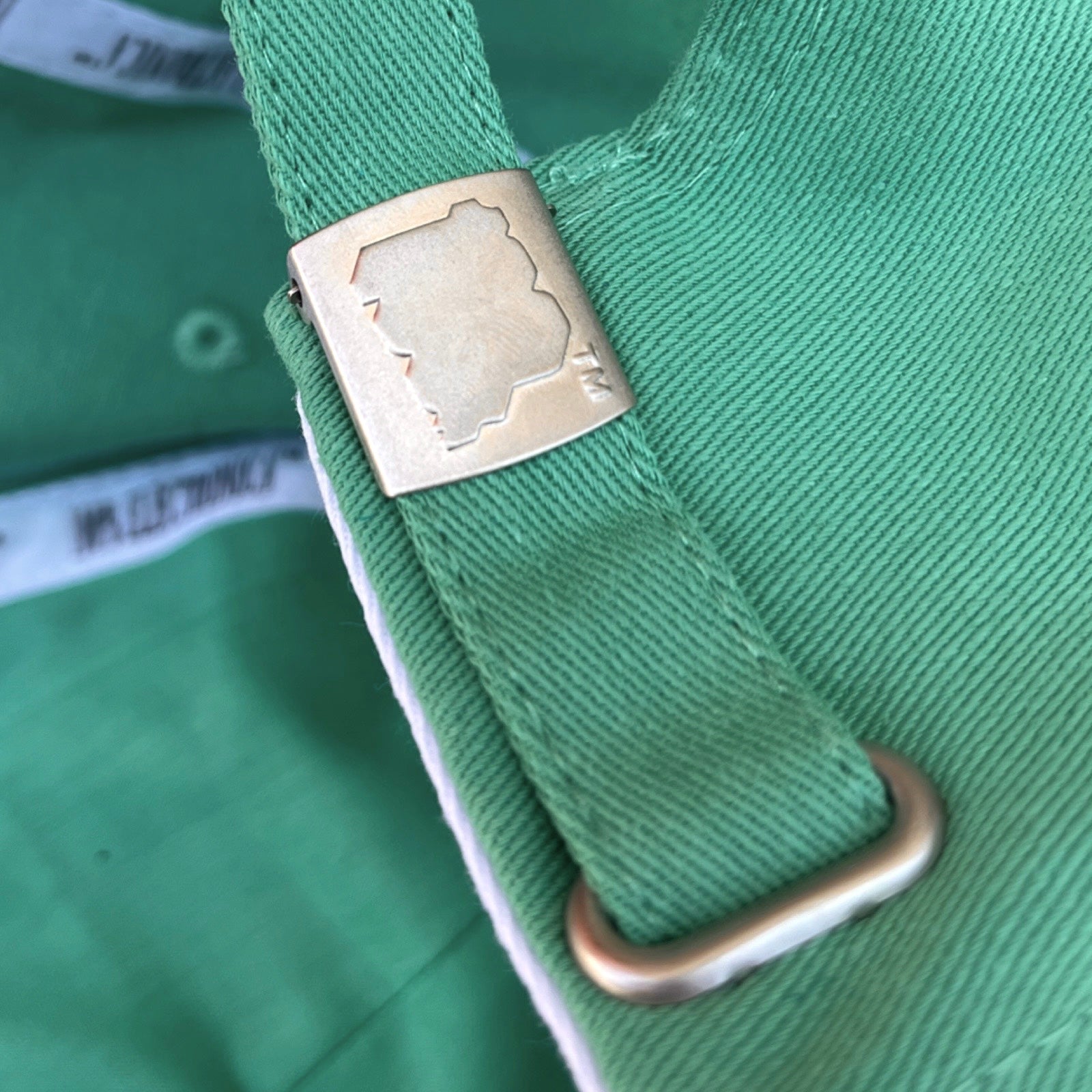 Melt Logo Cap (Green)
